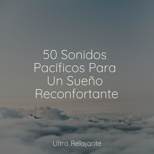 Sueños Pacíficos