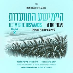 Nigun Zlotchov (feat. Yaakov Shlomo Gross)