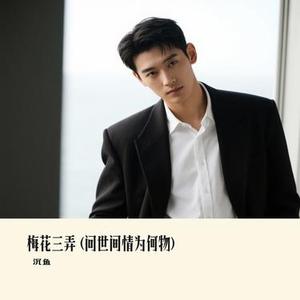 梅花三弄  (问世间情为何物) (Cover 何欢浪)