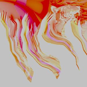 viscous session sets in