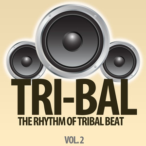 Tyng (Tribal Mix)