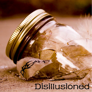 Disillusioned