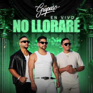 No Lloraré (En Vivo)