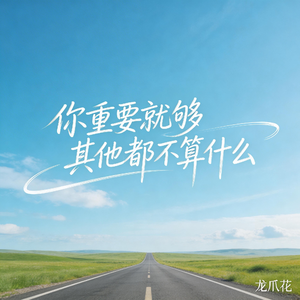 你重要就够 其他都不算什么