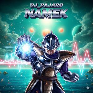 Dj Pajaro Namek breakbeat
