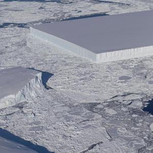 Chosen (feat. DOTCOM, Cris B. & BIG MIDAS)