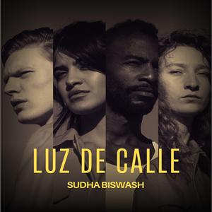 Luz de Calle