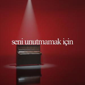 Seni Unutmamak İçin