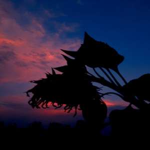 Still dreamin' about u