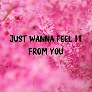 Just Wanna Feel It From You
