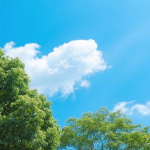 逆风飞翔梦想