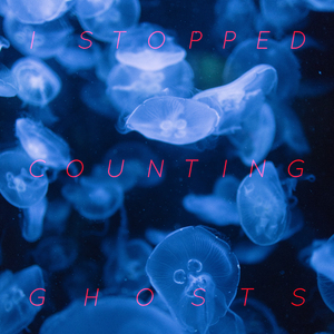 I Stopped Counting Ghosts