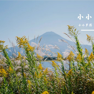 雪峰未远_小小罗博