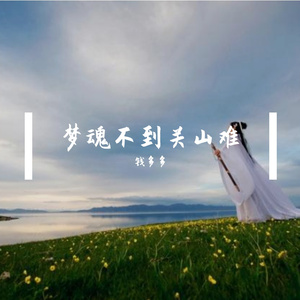 梦魂不到关山难 (20)