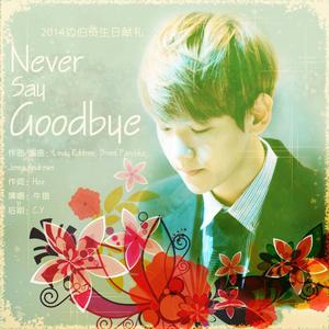 Never Say Goodbye