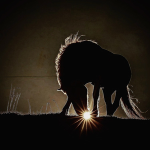 Mountain Road (2020 Secret Song)))