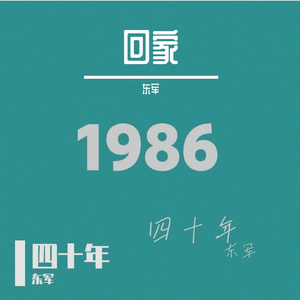 这四十年