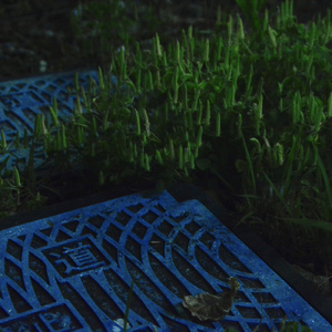 有機的なビルの地下街の臭い