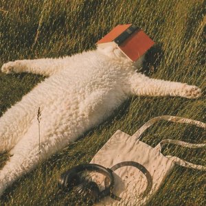 Shoelace Sun