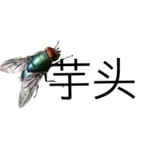 苍蝇(超萌拽哥)