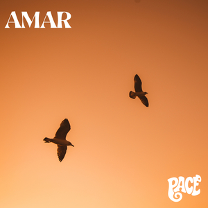 Amar