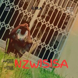 NZWISISA