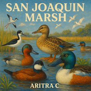 San Joaquin Marsh