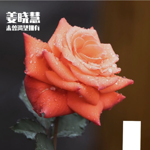 同桌的你