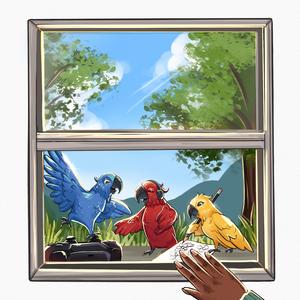 3Birds