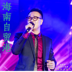 海南自贸港 (流行版)