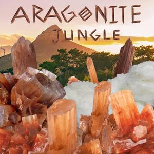 Aragonite Jungle