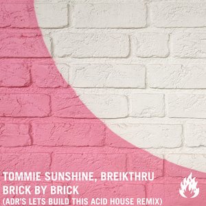 Brick by Brick (ADR's Let's Build This Acid House Remix)