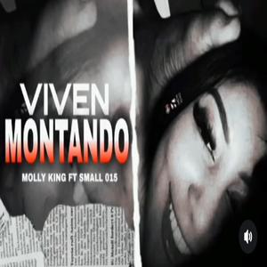 Montando