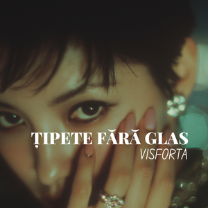 Până la capătul tăcerii