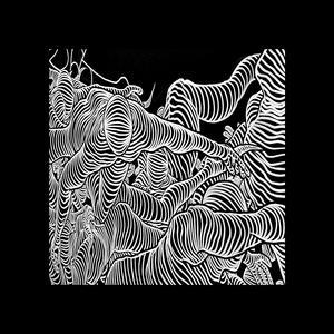 19042025 (Live at Toinen Kerros)