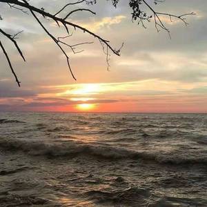 像风一样（翻自 单依纯）