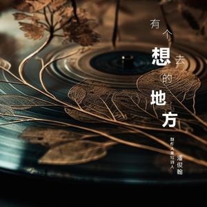 在微光里找太阳