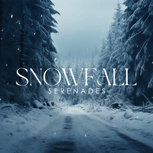 Cozy Winter Fireplace Ambience