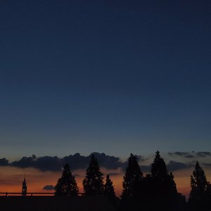 夏日海边暗恋记