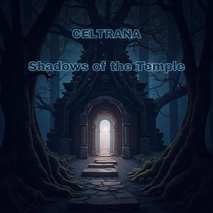 Where the Light Sleeps