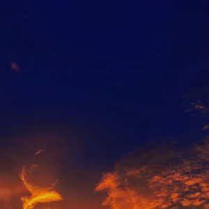 你看呐北方的雪落不到南方的街