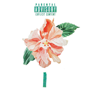 Hawaii Prod.RecklessG4B