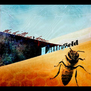 Awake in the Bed I Lie