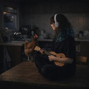 Si yo ni pedí venir