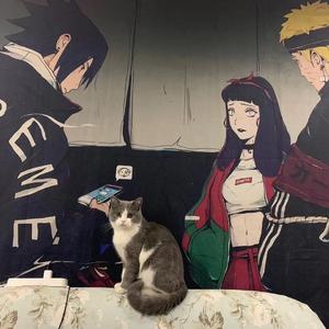 The fourth year(Prod.by XXLOKI)