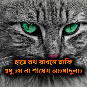 হাতে নখ রাখলে নাকি ওযু হয় না শায়েখ আহমাদুল্লাহ