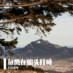 向日葵追着太阳跑