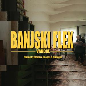Banjski Flex