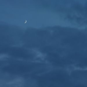 午后freestyle（prod.byNOBADINO）