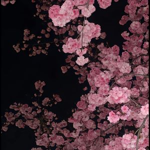 盗将行_问君能有几多愁